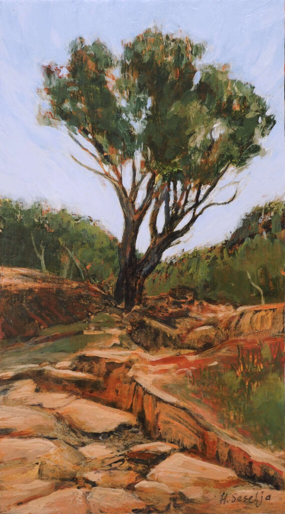 Acrylic landscape painting of a lone tree growing beside a rocky creek bed in the red earth of Gundabooka National Park.