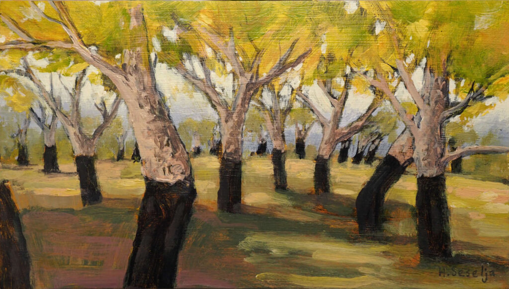Acrylic painting of a cork oak plantation with rows of trees, dark harvested trunks, and dappled sunlight beneath a green canopy.