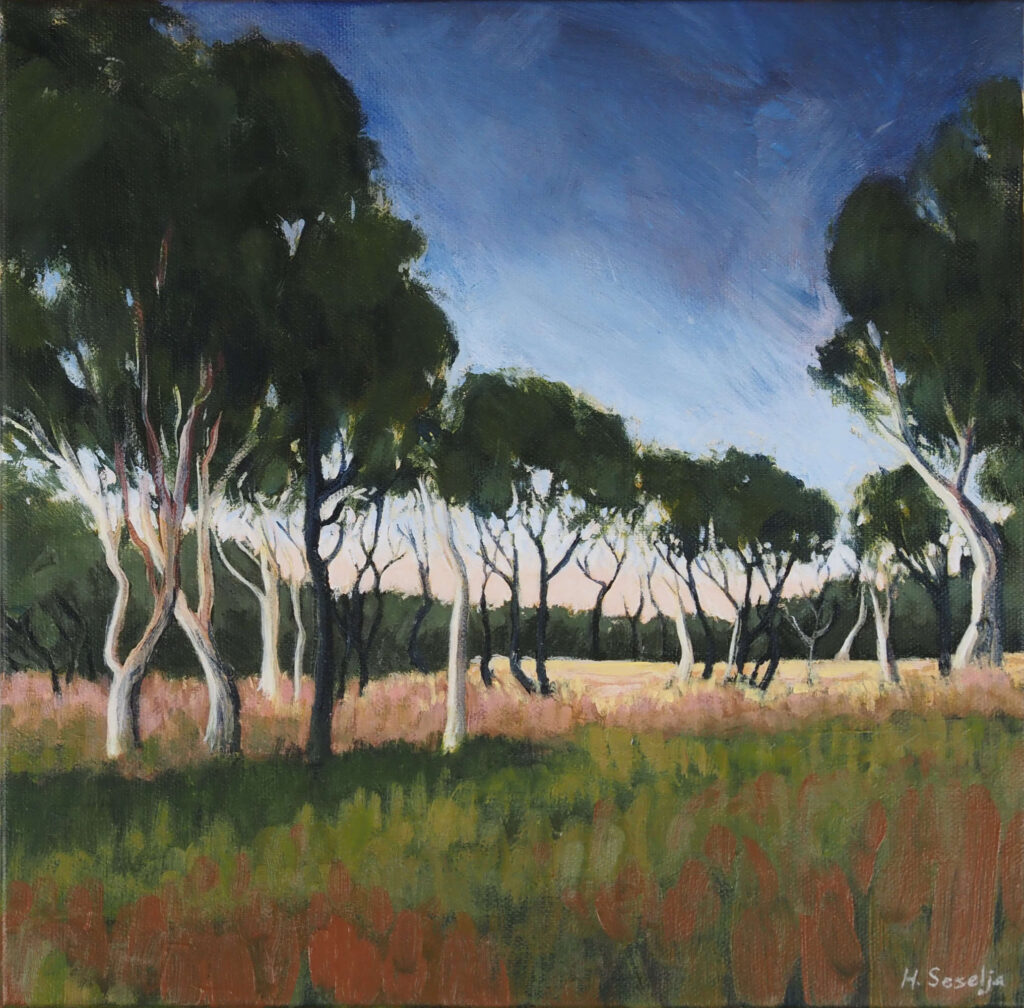 An expressive acrylic painting of a stand of eucalyptus trees at dusk. White trunks glow in the last light beneath dark green canopies, with soft grasses in the foreground and a deep blue evening sky above. Loose brushwork creates a peaceful atmosphere and captures the stillness of the fading day.
