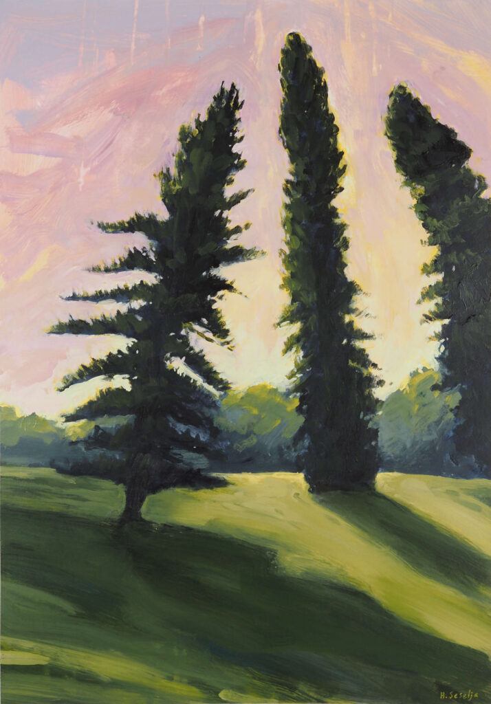 An expressive acrylic painting of three pine trees in the Adelaide Botanic Gardens. Their dark silhouettes stand against a glowing pink, cream and yellow evening sky, while long shadows stretch across bright green grass. Loose brushwork emphasises the contrast between the bold tree shapes and the soft light of late afternoon.