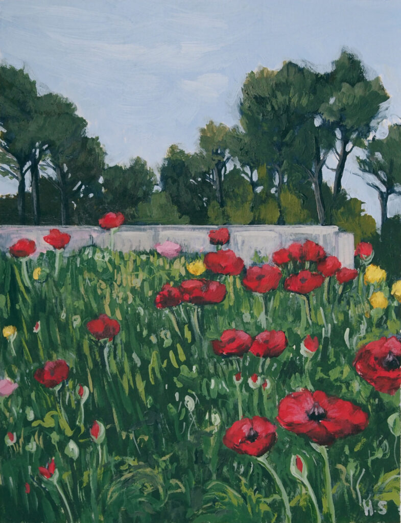 An expressive acrylic painting of bright red ranunculus flowers growing among lush green foliage at Floriade in Canberra. A few pink and yellow flowers add colour, with a pale garden wall and dark green trees beneath a soft blue sky. Loose brushstrokes capture the freshness of spring.
